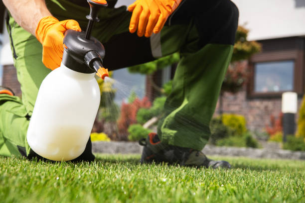 Best Residential Pest Control  in Paddock Lake, WI