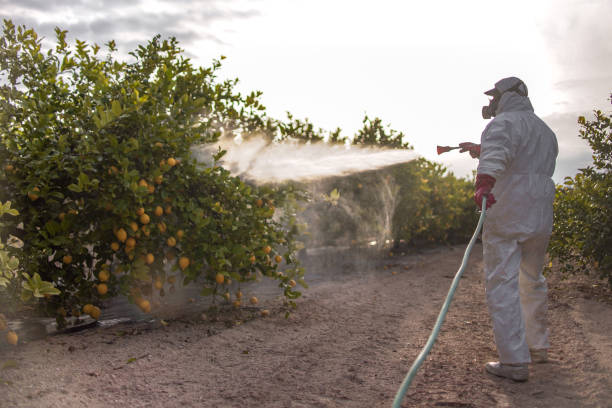 Best Flea Control Services  in Paddock Lake, WI