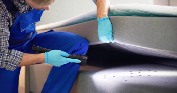 Best Best Pest Control Companies  in Paddock Lake, WI