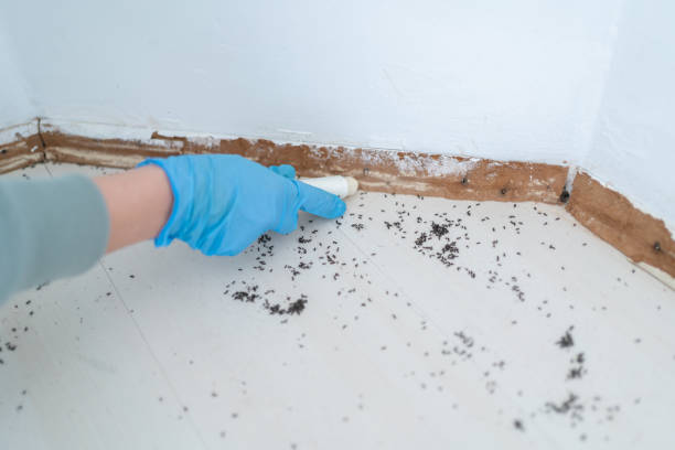 Best Pest Removal Services  in Paddock Lake, WI