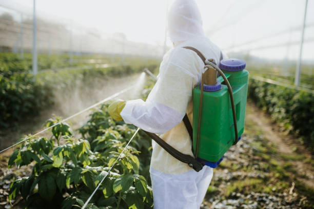 Wildlife Control Services in Paddock Lake, WI